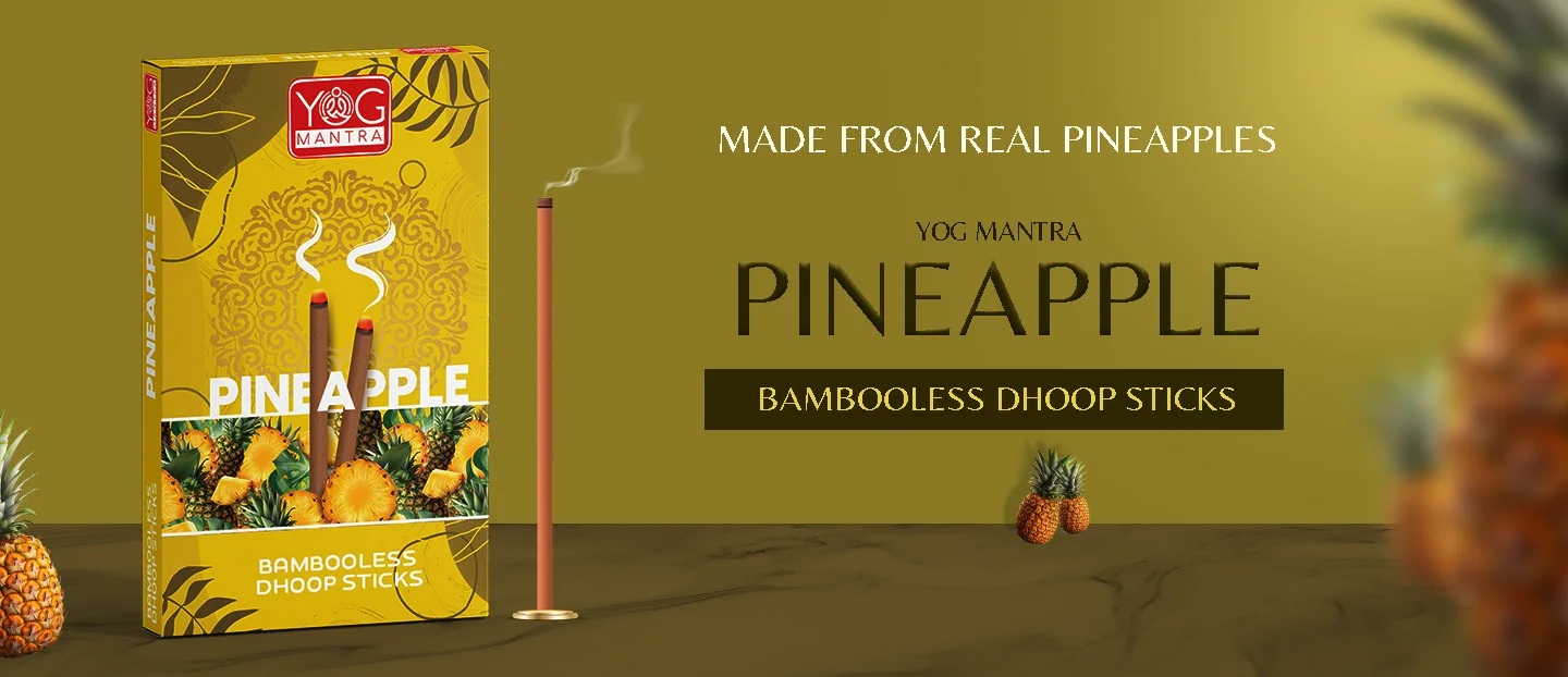Pineapple banner image for desktop