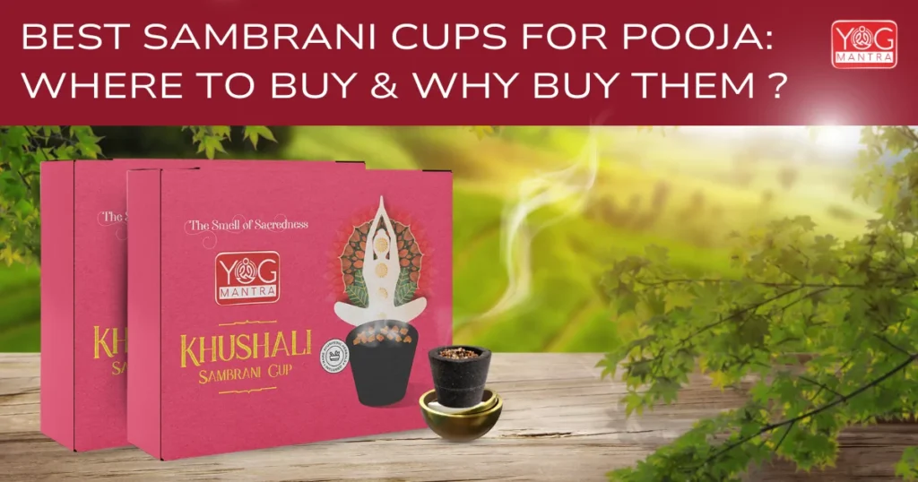 Best Sambrani Cups For Pooja-blog-5-cover-poster