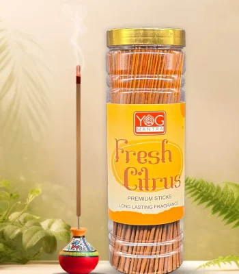 Fresh Citrus premium incense sticks F1